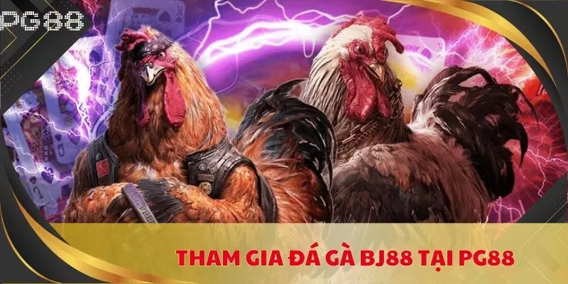 da ga bj88 anh dai dien