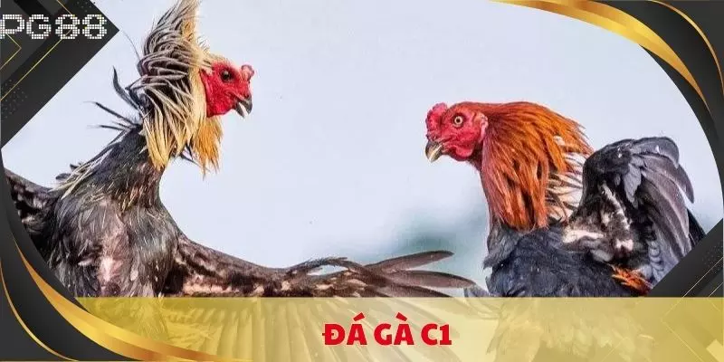 da ga c1 anh dai dien
